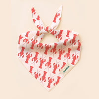 BANDANA ESTIVAL CHIEN