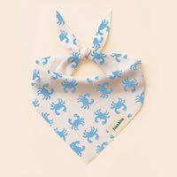 BANDANA ESTIVAL CHAT