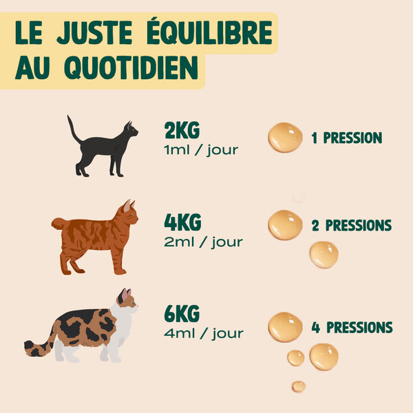 huile-de-saumon