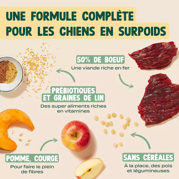 boeuf-pomme-courge