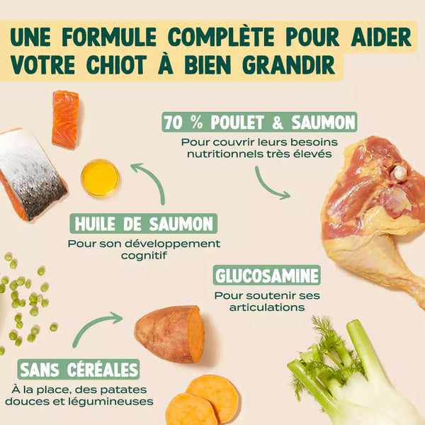 poulet-saumon-fenouil