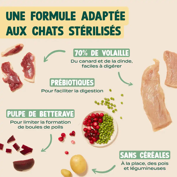 dinde-canard-canneberge