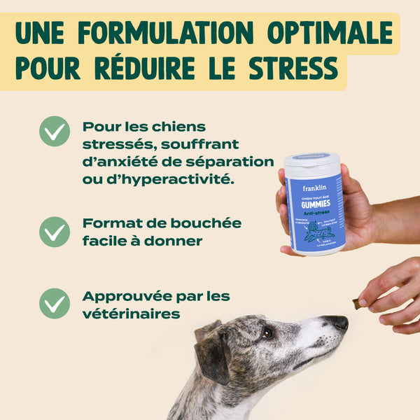 pack-pour-chien-stresse