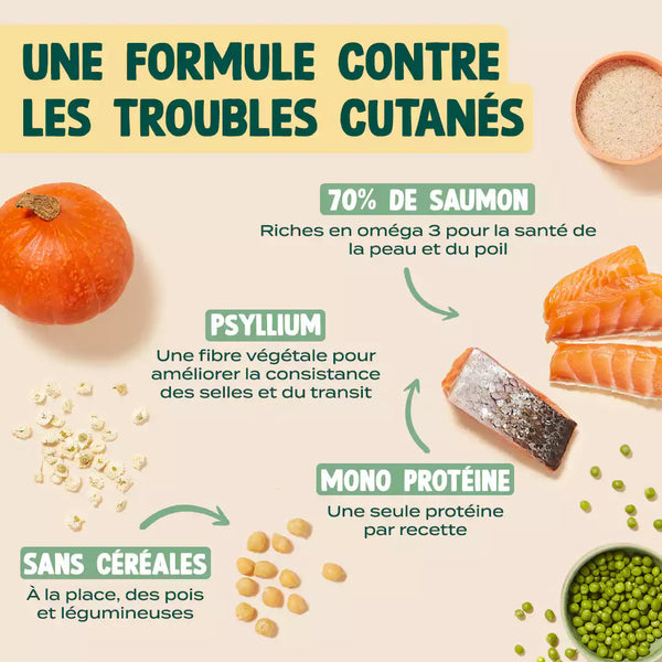 saumon-courge-camomille