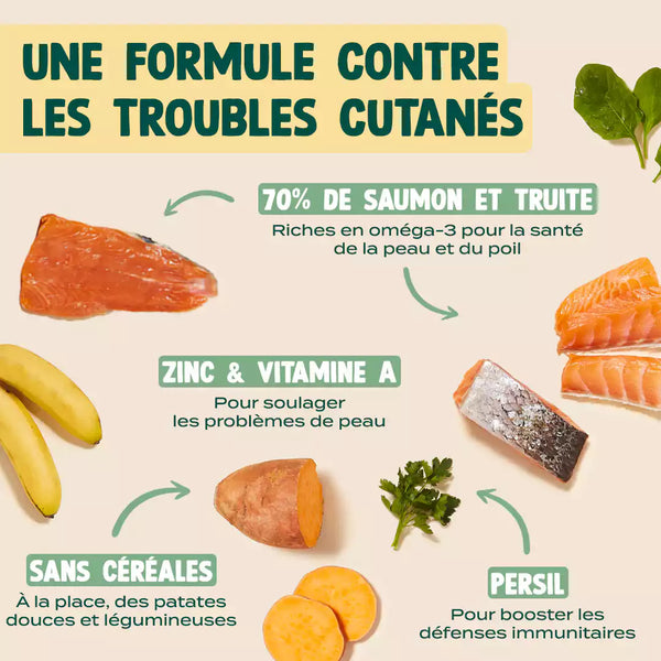 saumon-truite-persil