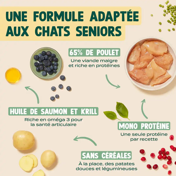 poulet-myrtille-basilic