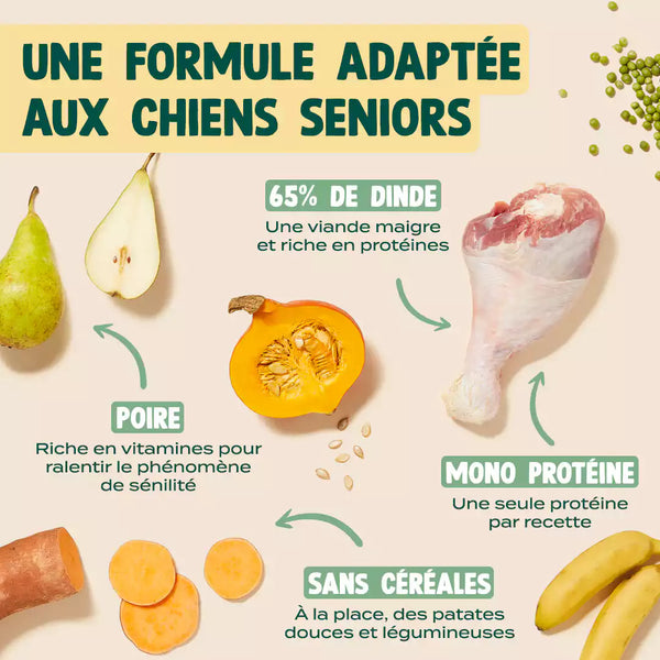dinde-courge-poire