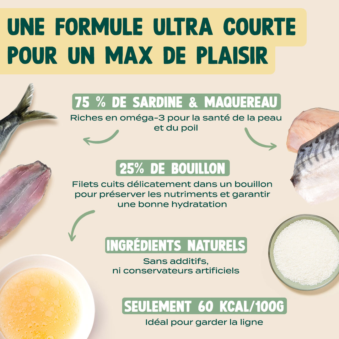 SARDINE & MAQUEREAU