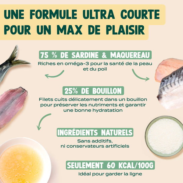 sardine-amp-maquereau