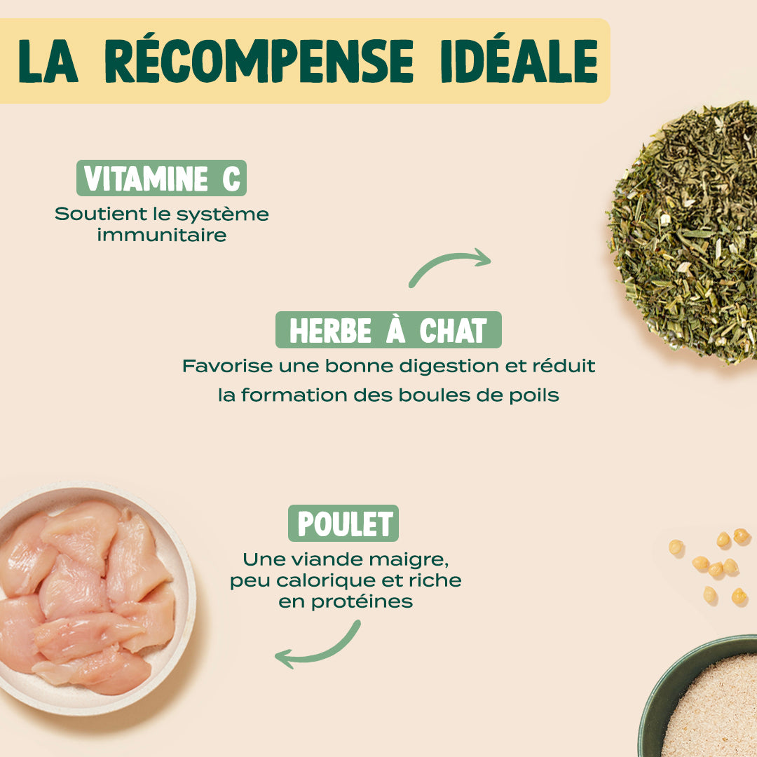 MINI BOUCHÉES - POULET, HERBE À CHAT