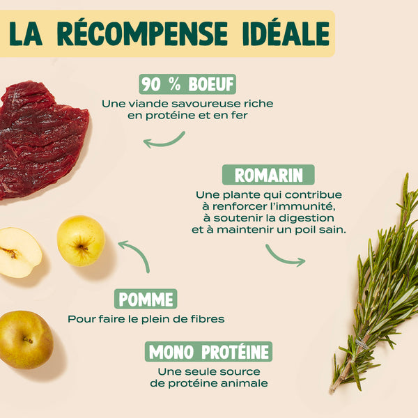 mini-viande-sechee-boeuf-romarin