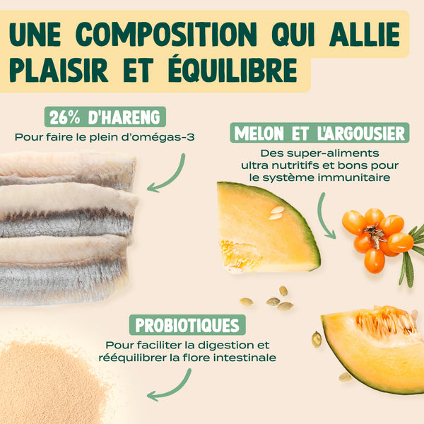 super-snack-hareng-potiron