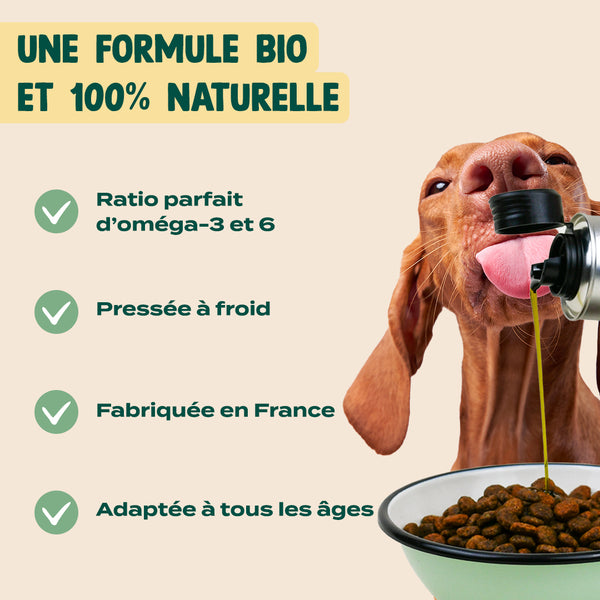 pack-pour-chien-stresse