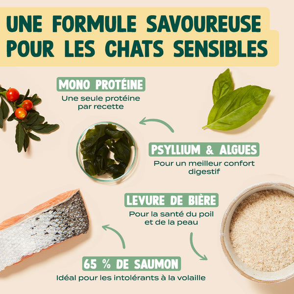 saumon-basilic