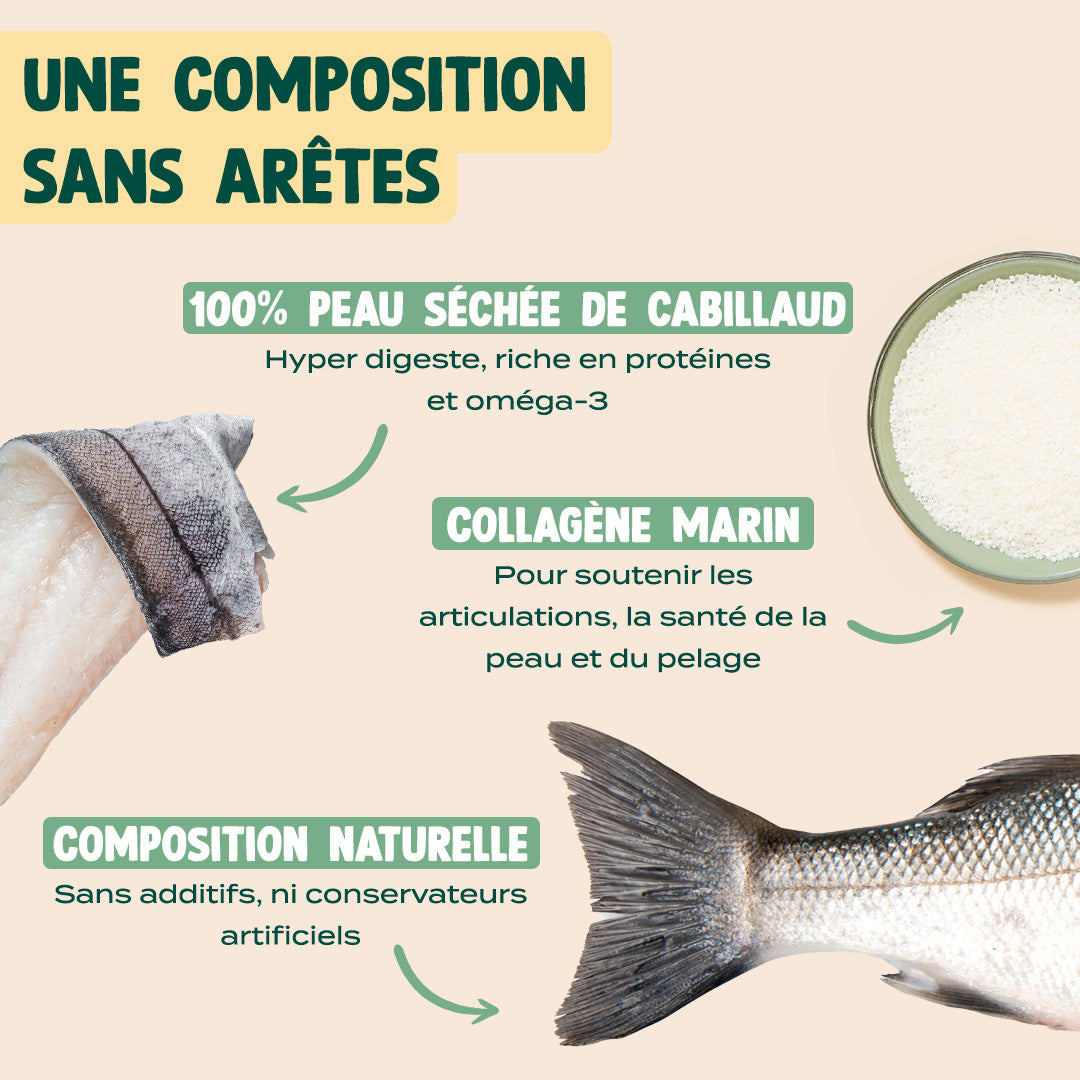 POISSONS À MÂCHER