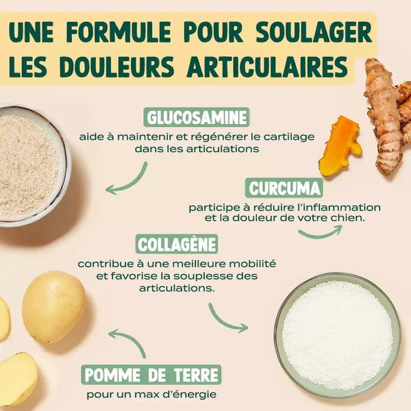 sticks-mobilite-amp-articulations