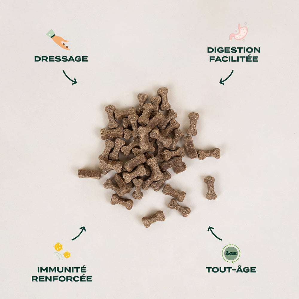 Croquette Chien St rilis Top Croquettes Pour Chien Castr Franklin croquette-chien-st-rilis-top-croquettes-pour-chien-castr-franklin