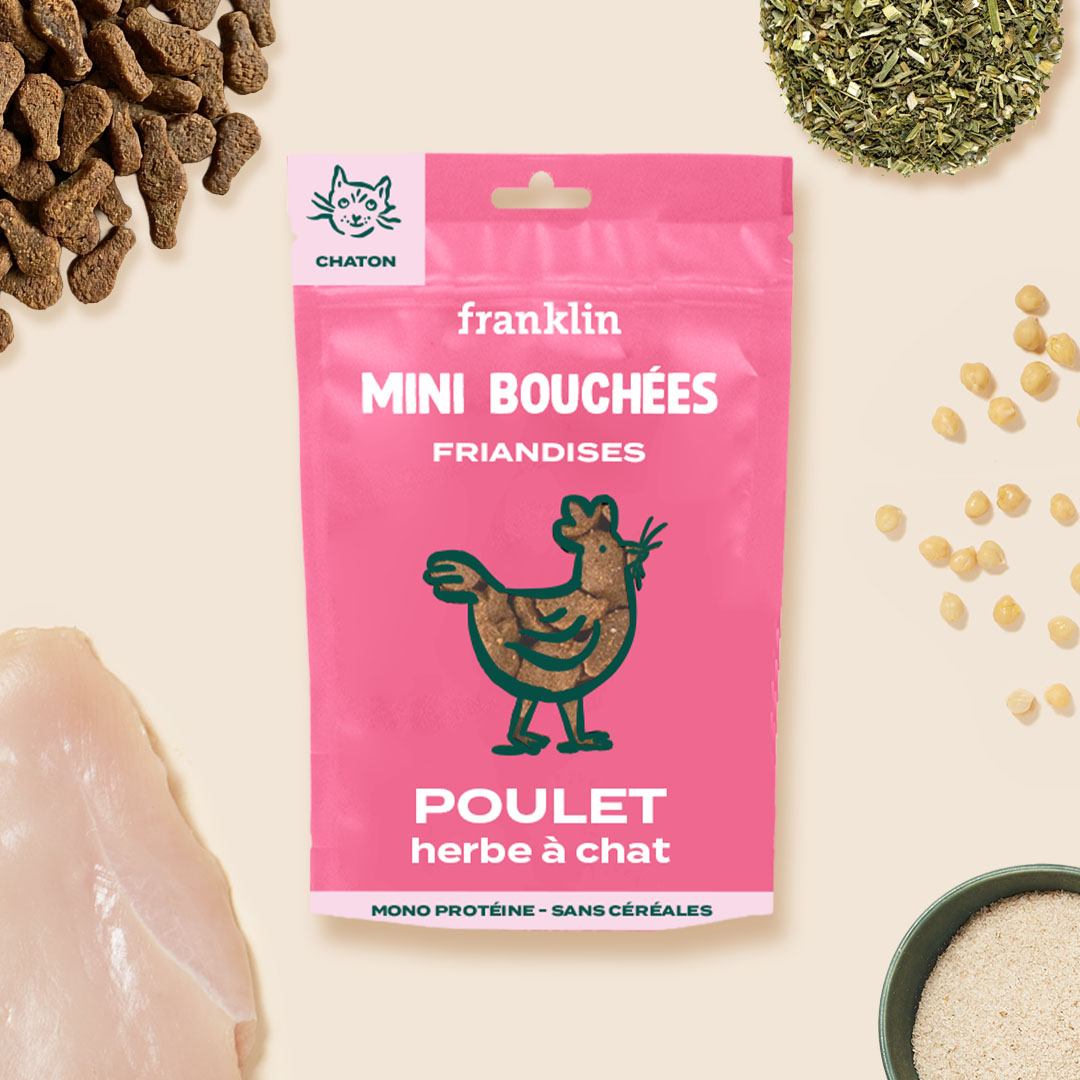 MINI BOUCHÉES - POULET, HERBE À CHAT