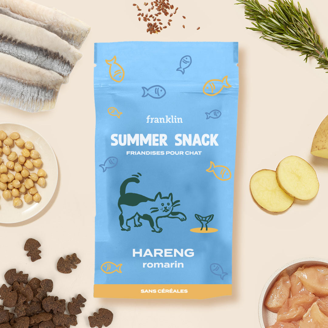 SUMMER SNACK HARENG, ROMARIN