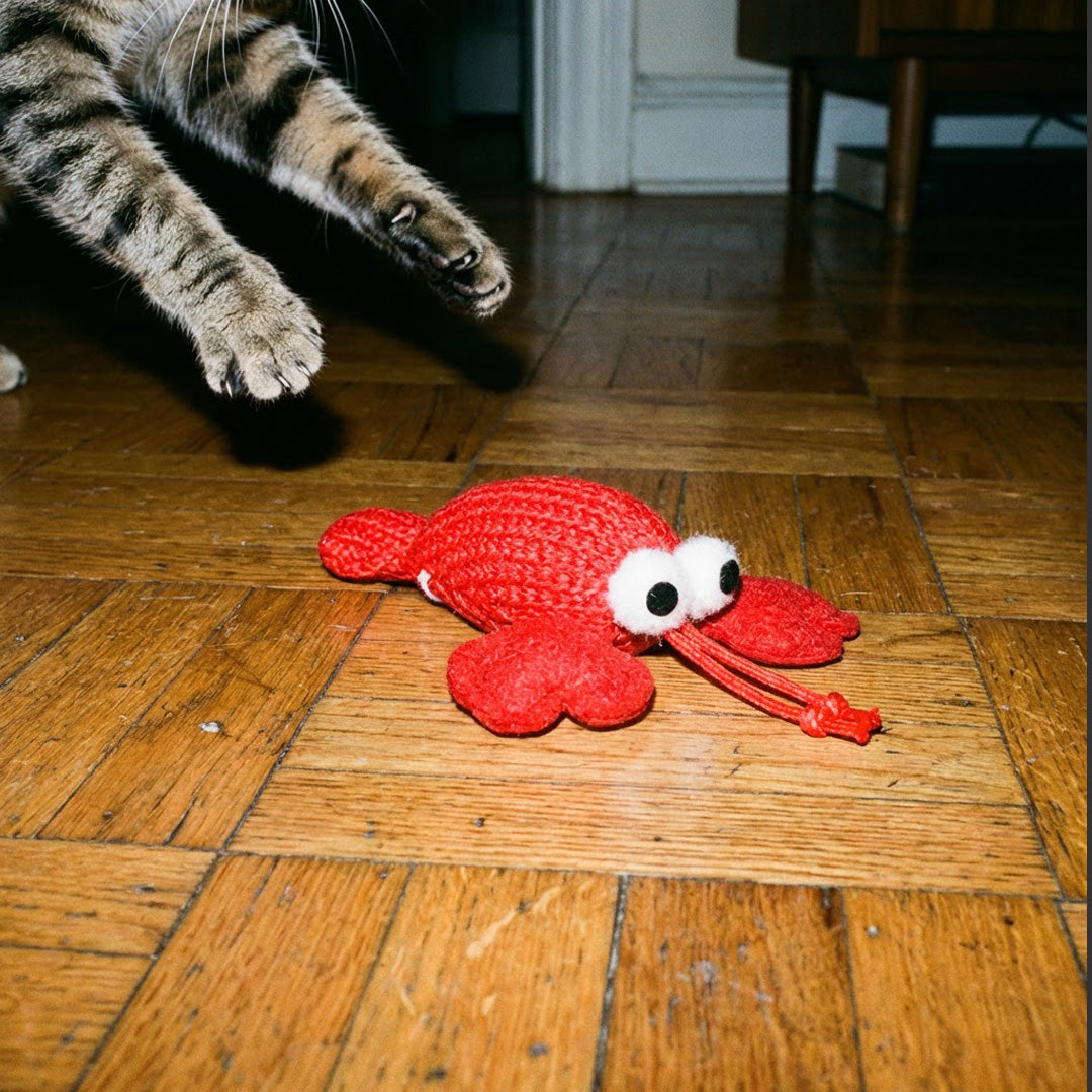 JOUET HOMARD CHAT