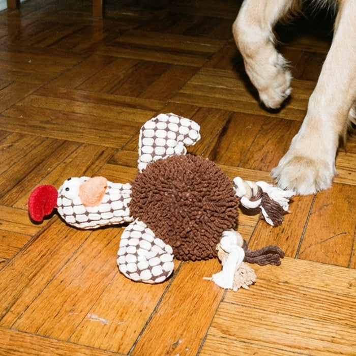 JOUET POULET CHIEN (CADEAU)
