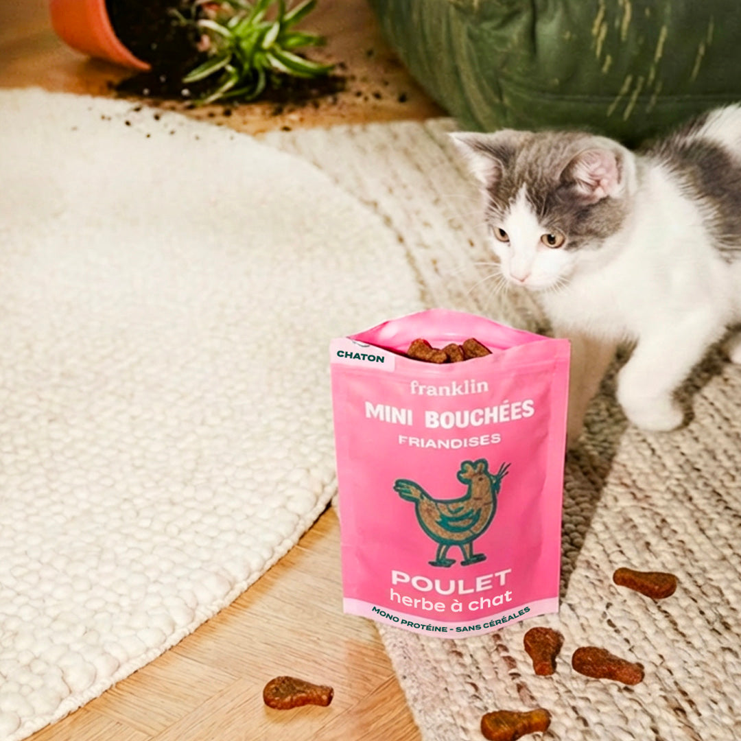 MINI BOUCHÉES - POULET, HERBE À CHAT
