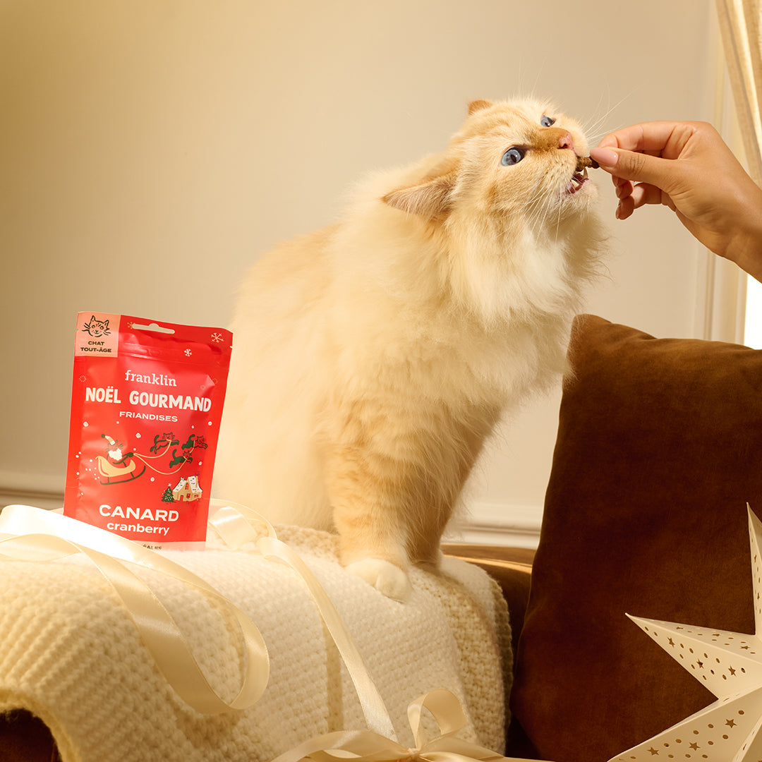 NOËL GOURMAND - CANARD, CRANBERRY