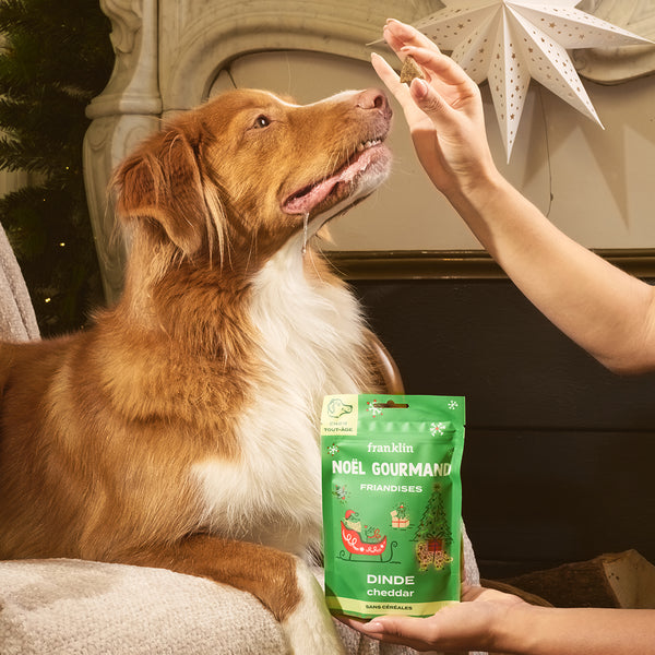 noel-gourmand-dinde-cheddar