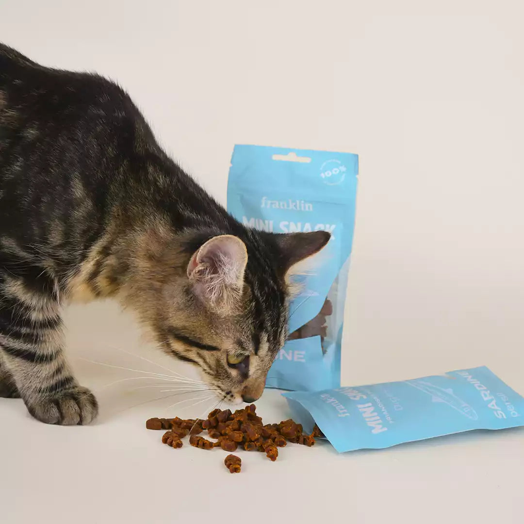 Friandises Pour Chat Franklin - Canard Et Cranberry, édition Noël - Croustillantes, Sans Céréales - Pour Peau Saine, Digestion Facile, Chatons/adultes/seniors - Sachet 50 G - 4