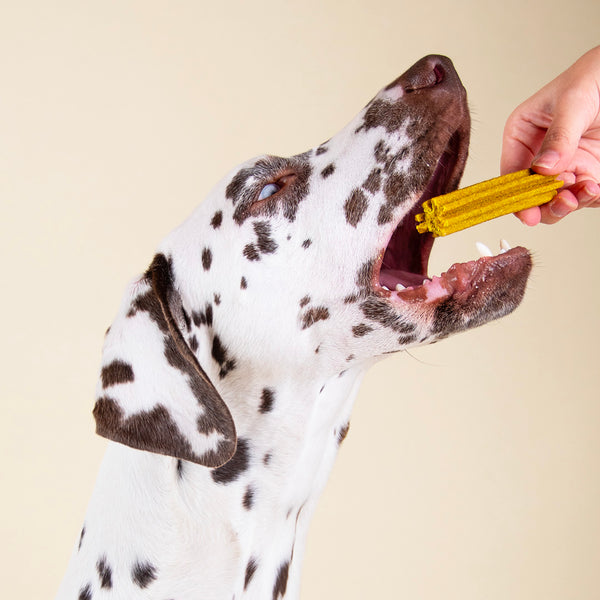 sticks-mobilite-amp-articulations