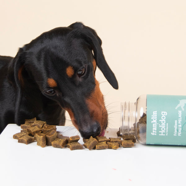 friandises-peau-amp-pelage