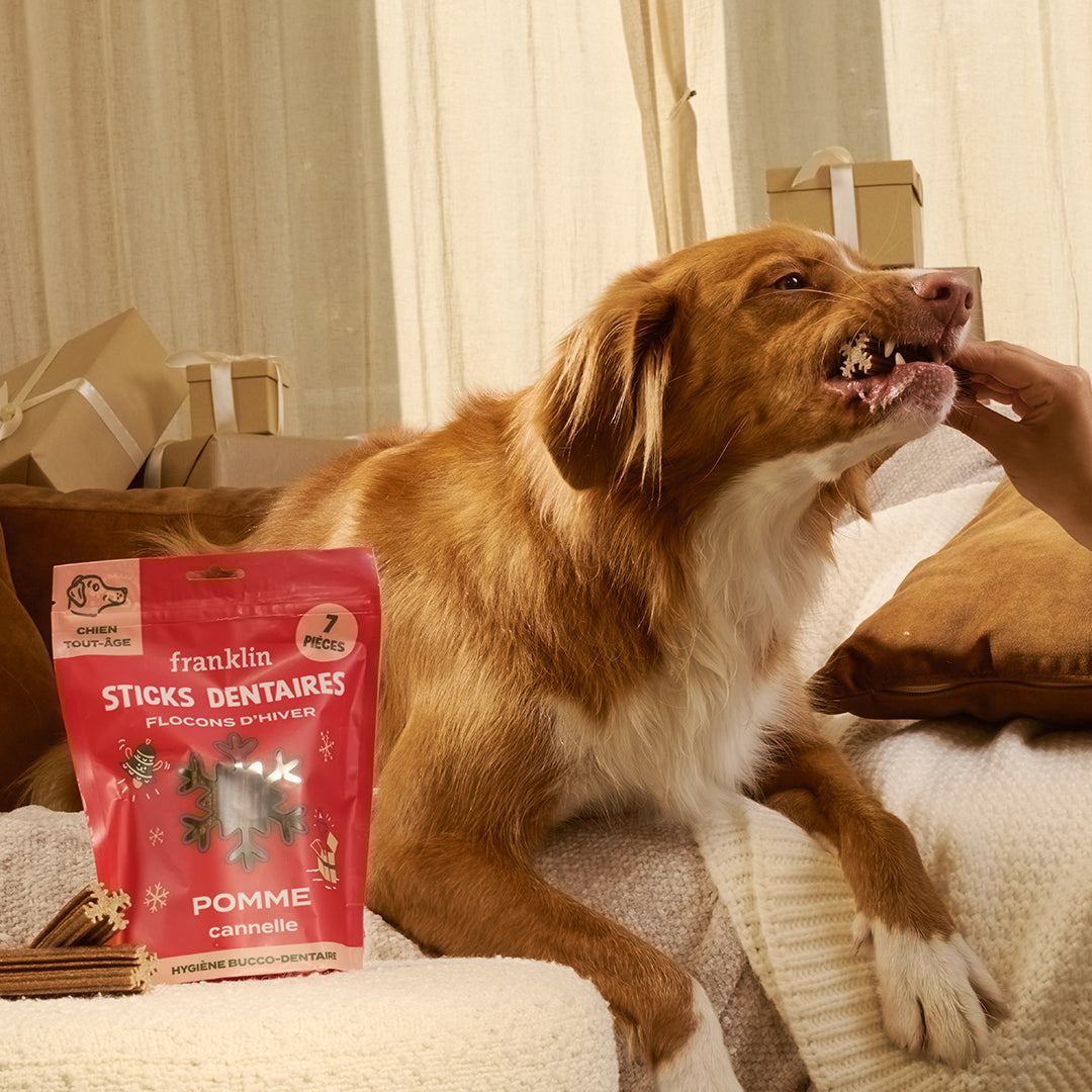 FLOCONS D'HIVER - POMME, CANNELLE