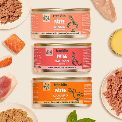 pack-decouverte-patees-chat