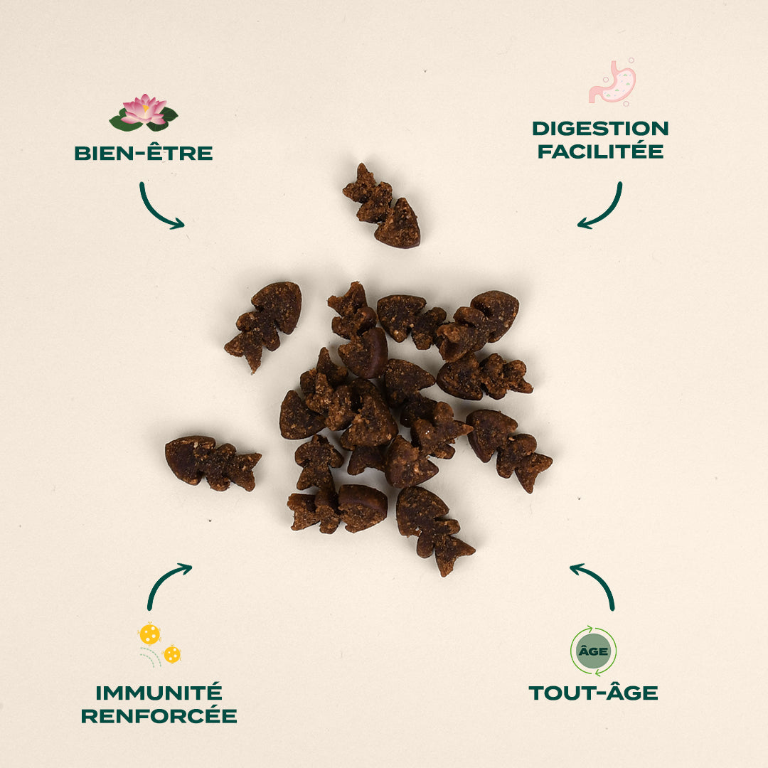 Friandises Pour Chat Franklin - Canard Et Cranberry, édition Noël - Croustillantes, Sans Céréales - Pour Peau Saine, Digestion Facile, Chatons/adultes/seniors - Sachet 50 G - 2