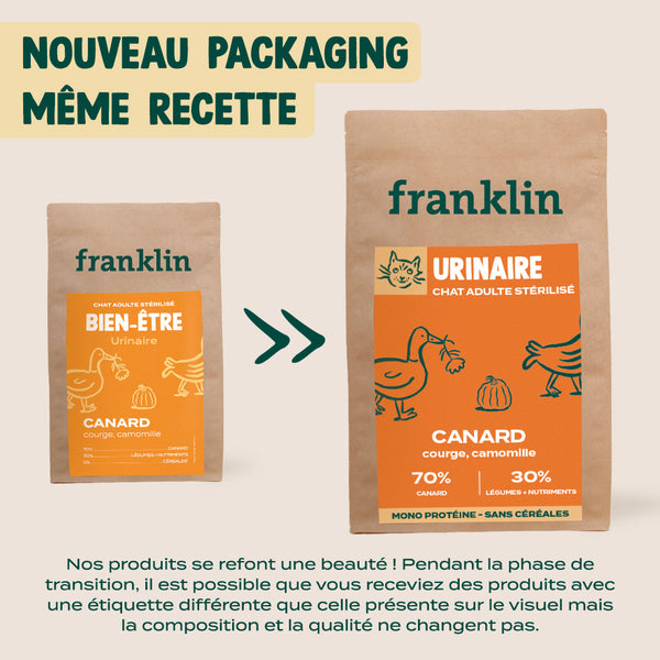 canard-courge-camomille