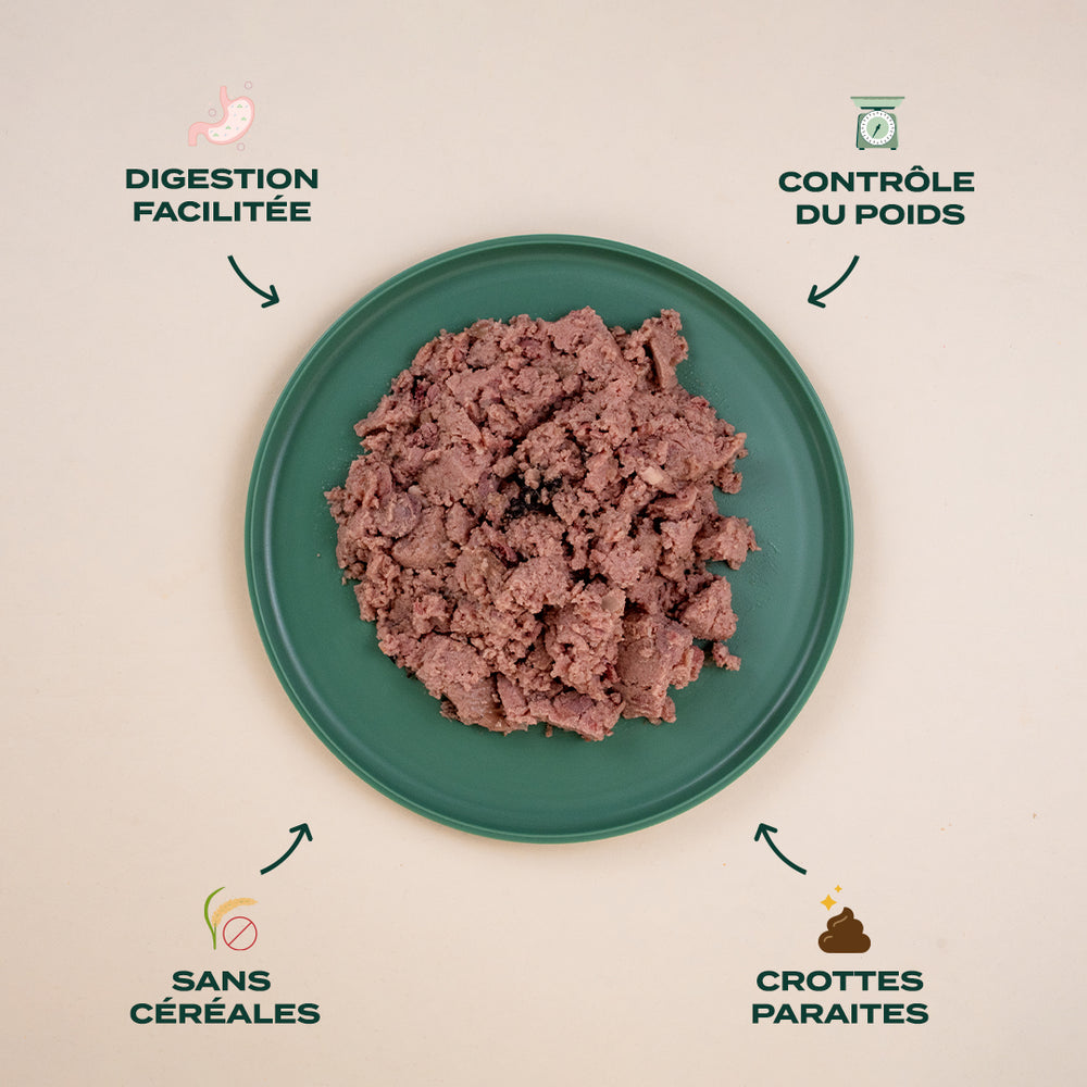 Croquette Chien St rilis Top Croquettes Pour Chien Castr Franklin croquette-chien-st-rilis-top-croquettes-pour-chien-castr-franklin