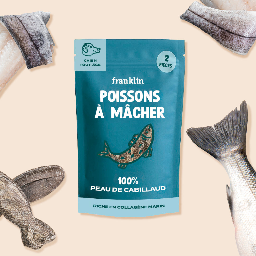 Franklin Alimentation premium pour chien et chat. Choisissez la meilleure nourriture pour votre animal : Croquettes sans céréales riches en protéines et faibles en glucides. Découvrez notre large gamme de pâtées et de friandises riches en viande !