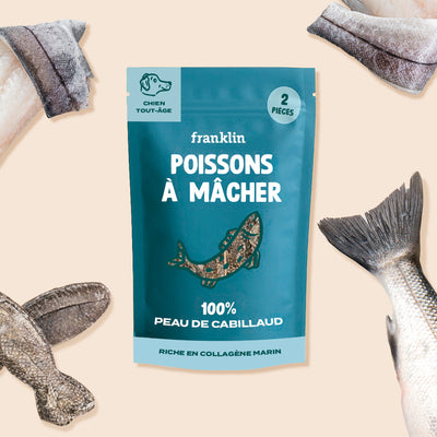 poissons-a-macher