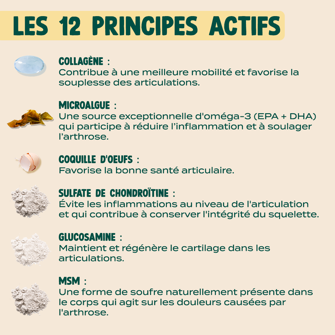 GUMMIES ARTICULATIONS