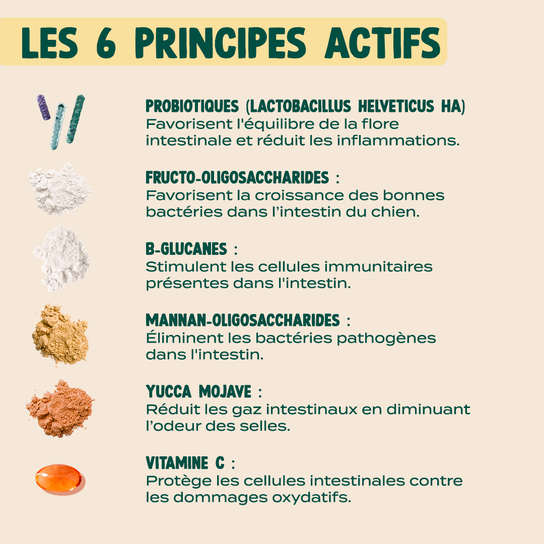 GUMMIES PROBIOTIQUES