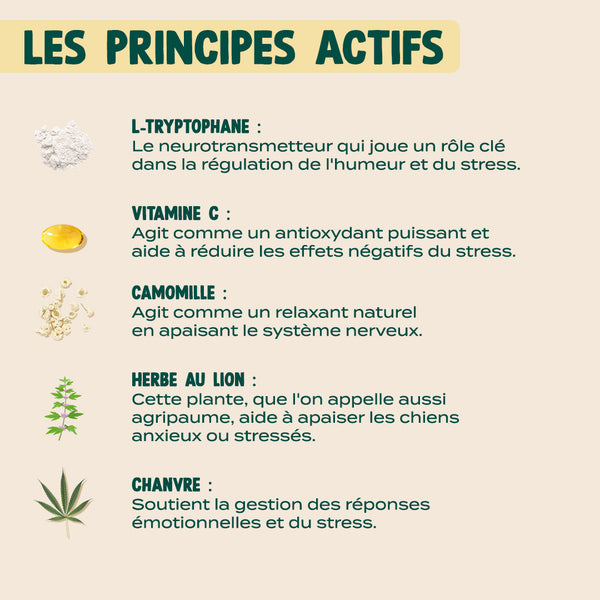 sticks-anti-stress