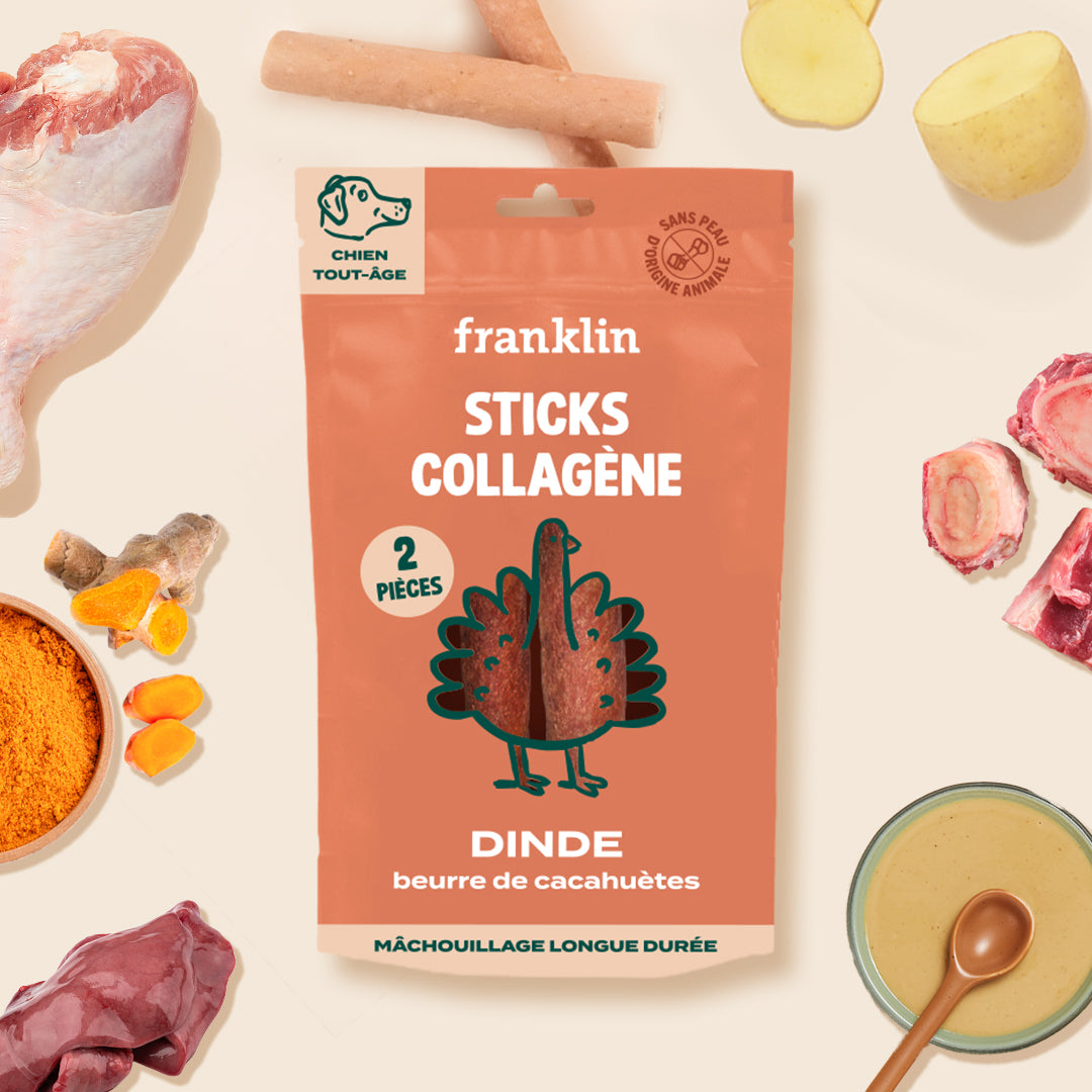 Franklin Alimentation premium pour chien et chat. Choisissez la meilleure nourriture pour votre animal : Croquettes sans céréales riches en protéines et faibles en glucides. Découvrez notre large gamme de pâtées et de friandises riches en viande !