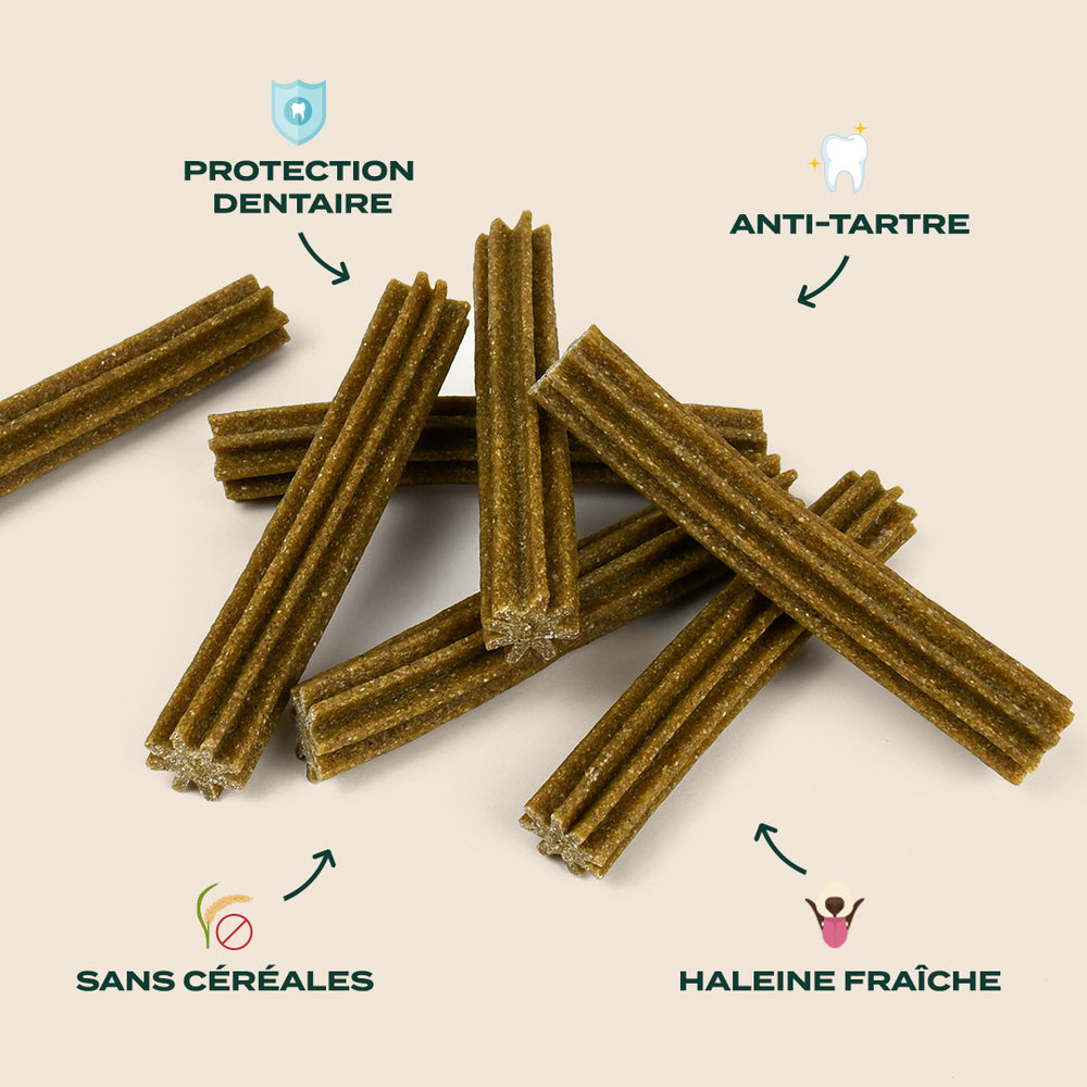 Friandises Dentaires Pour Chien Franklin - Stick Pomme Cannelle, Anti-tartre, 250g