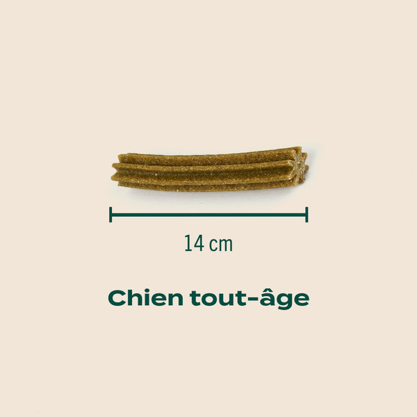 sticks-menthe-sauge-offre-compte-abonne