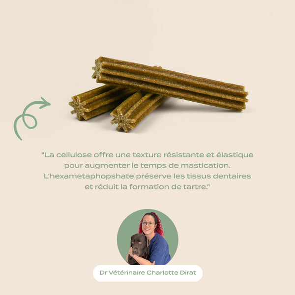 sticks-menthe-sauge-offre-compte-abonne