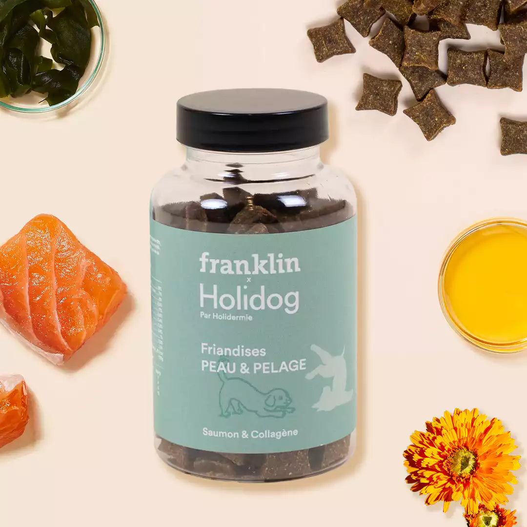 Franklin X Holidermie