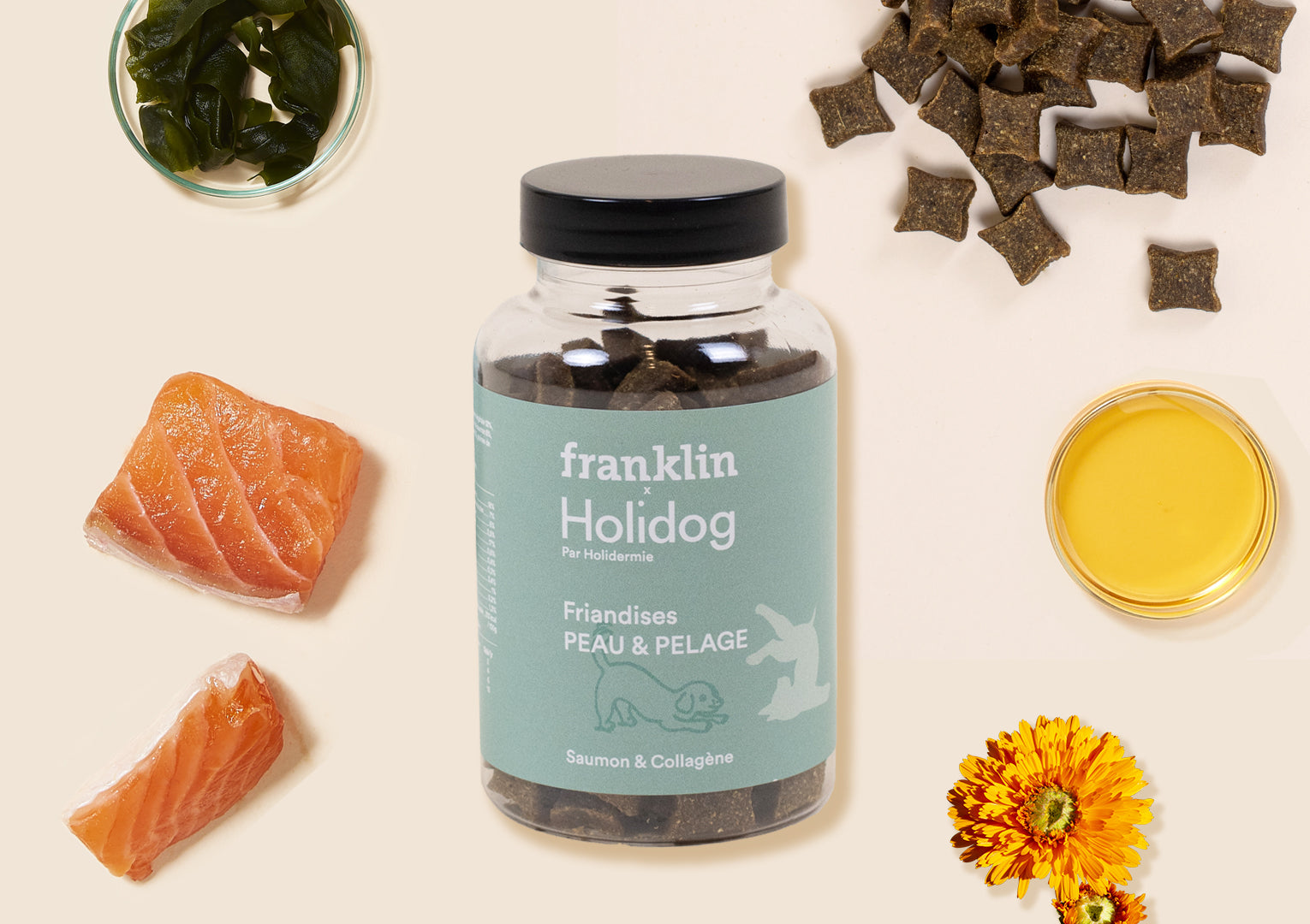 Franklin Alimentation premium pour chien et chat. Choisissez la meilleure nourriture pour votre animal : Croquettes sans céréales riches en protéines et faibles en glucides. Découvrez notre large gamme de pâtées et de friandises riches en viande !