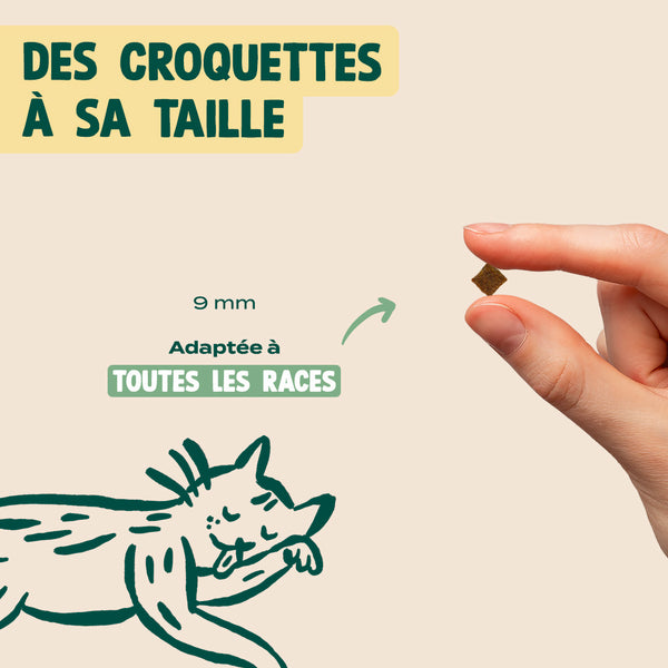 poulet-courge-cranberry