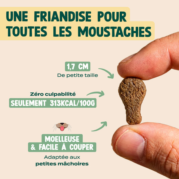 mini-bouchees-poulet-herbe-a-chat