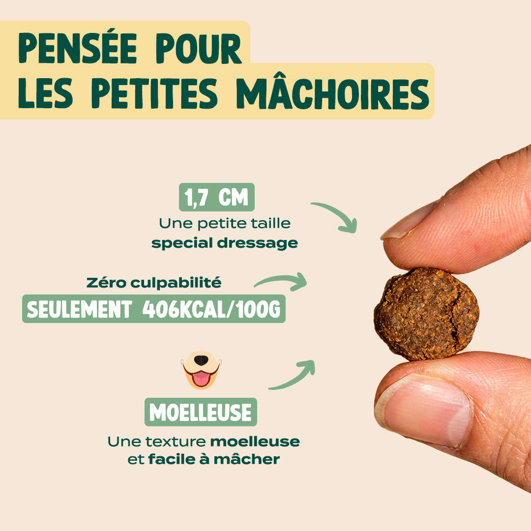 MINI VIANDE SÉCHÉE - BOEUF, ROMARIN